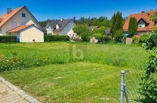 Grundstück zu kaufen in 93358 Train, Train - WALDRANDLAGE FÜR IHREN WOHNTRAUM