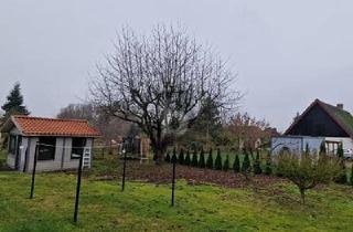 Grundstück zu kaufen in 23942 Dassow, Dassow - WAS FÜR EINE WEITE!