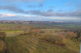 Wohnung kaufen in 55127 Mainz, Mainz - Provisionsfrei! Modernisierte 3,5ZKB. Sofort verfügbar.