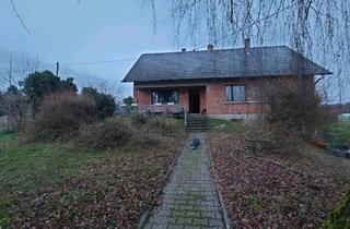 Einfamilienhaus kaufen in 76779 Scheibenhardt, Scheibenhardt - Einfamilienhaus Pferdehaltung Ausbau