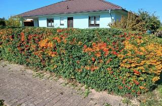 Einfamilienhaus kaufen in 17192 Waren, Waren (Müritz) - Einfamilienhaus (Bungalowstil) in Jägerhof zum Verkauf