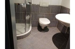 Wohnung mieten in 59755 Arnsberg, 2 Zimmer Wohnung in Arnsberg mit 61 m² Wohnfläche