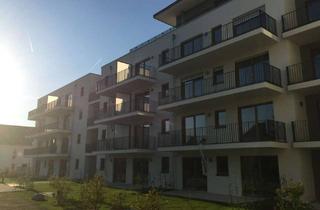 Wohnung mieten in 63225 Langen, Helle 2 Zimmer Wohnung , in guter Lage von Lagen