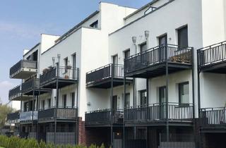 Wohnung mieten in Reeborn 1a, 22415 Langenhorn, Moderne 2-Zimmer-Erdgeschoss-Wohnung in Hamburg-Langenhorn