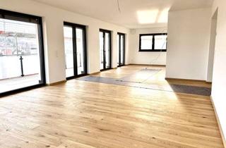 Lofts mieten in 94034 Hacklberg, Exklusive, offen geschnittene 4-Zimmer-Loft-Wohnung mit Balkon und Donaublick!