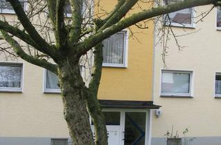 Wohnung mieten in Oberreinshagen, 42857 Remscheid, Vollständig renovierte 2-Raum-Wohnung mit Terrasse in Remscheid Oberreinshagen