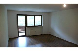 Wohnung mieten in 69118 Ziegelhausen, 1 ZKB Wohnung mit großem Balkon in ruhiger Lage von Heidelberg