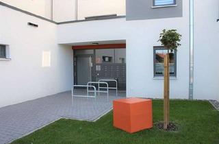 Wohnung mieten in Neues Leben, 39387 Oschersleben, Exklusives Wohnen mit offener Küche und Dachterrasse in der Stadtvilla