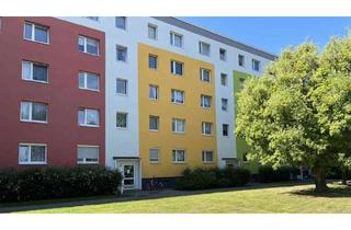 Wohnung mieten in Jänschwalder Straße 14, 03048 Sachsendorf, Singlewohnung - frisch saniert!