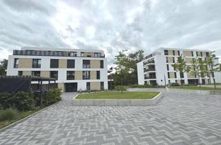 Wohnung mieten in An Der Mühlenau 10c, 25421 Pinneberg, Großzügig geschnittene Neubauwohnung zur Miete in Pinneberg - Wentzel Dr.