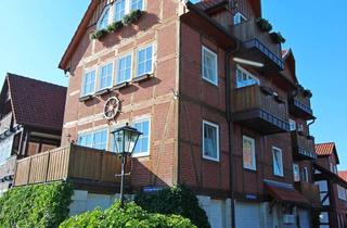 Wohnung mieten in Auf Dem Brink, 29456 Hitzacker, Helle 2-Zimmer-Wohnung (57 m²) im Fachwerkhaus auf der Stadtinsel – mit Elbblick und zwei Balkonen