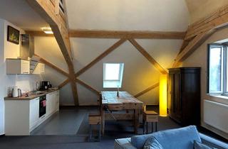 Wohnung mieten in Strasse Der Einheit 2 A, 14548 Schwielowsee, Großzügig mobiliertes 2-Zimmer Appartement