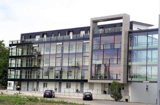 Wohnung mieten in Aachstraße 20, 88690 Uhldingen-Mühlhofen, Altengerechte 2-Zimmer-Wohnung mit Balkon im Wohnpark Seefelder Aach – betreutes Wohnen