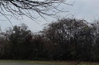 Garagen mieten in 78467 Konstanz, Außenparkplatz zu vermieten – 400m von Konstanz-Fürstenberg