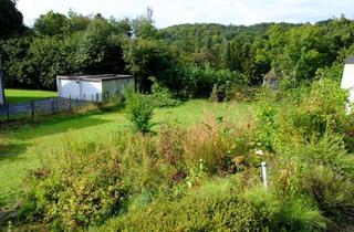 Haus kaufen in 58675 Hemer, Gestalte dein individuelles Traumhaus mit LivingHaus in Hemer