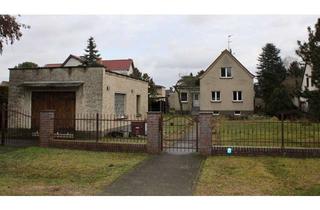 Einfamilienhaus kaufen in 15345 Altlandsberg, Modernisiertes Einfamilienhaus auf 1000qm Grundstück