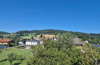 Mehrfamilienhaus kaufen in 64385 Reichelsheim, Gute Rendite: Saniertes Mehrfamilienhaus