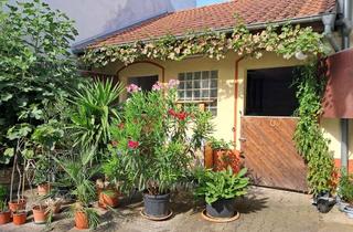 Haus kaufen in 55234 Monzernheim, Hofreite mit Pferdeboxen