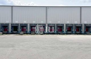 Gewerbeimmobilie mieten in 59469 Ense, Crossdock | ca. 18.000 m² Lagerfläche | Freifläche
