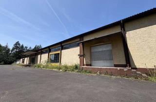Gewerbeimmobilie kaufen in 92706 Luhe-Wildenau, Gewerbe trifft Perspektive: Hallenensemble mit Entwicklungschance in Luhe-Wildenau