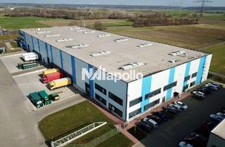 Büro zu mieten in 65439 Flörsheim, Ab sofort | 3200m² Hallenflächen | 500m² Büroflächen | Flughafennähe | Rampen und ebenerdige Tore