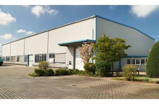 Büro zu mieten in Lise Meitner Straße, 64584 Biebesheim, beheizte Gewerbehalle 900 qm 9 m hoch plus Büroannteil von 126 126 qm 114 qm und 11 PKW Parkplätzen