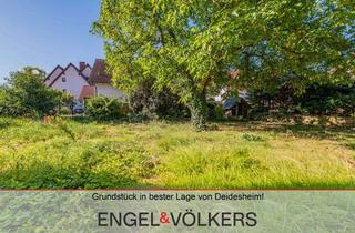 Grundstück zu kaufen in 67146 Deidesheim, Grundstück in bester Lage von Deidesheim!