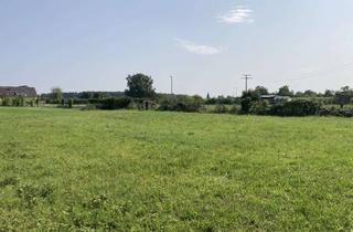 Grundstück zu kaufen in 77974 Meißenheim, Perfekt für Ihr Traumhaus: Sonniges 453-m²-Grundstück in Meißenheim