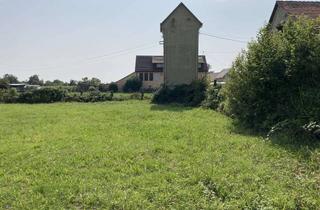 Grundstück zu kaufen in 77974 Meißenheim, Attraktives 521-m²-Grundstück in der schönen Ortenau