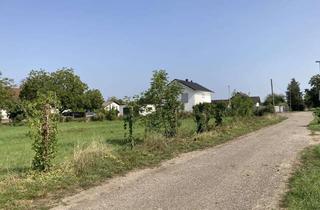 Grundstück zu kaufen in 77974 Meißenheim, Hier entsteht Ihr neues Zuhause – 342 m² Grundstück in Top-Lage in Meißenheim