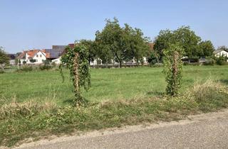 Grundstück zu kaufen in 77974 Meißenheim, Ihr Zuhause in Meißenheim – 498 m² für maßgeschneiderte Wohnträume