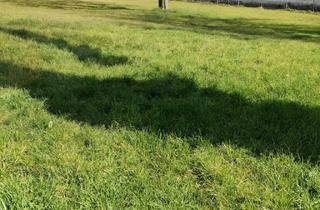 Grundstück zu kaufen in 53577 Neustadt, Traumhaftes Baugrundstück im Herzen des Westerwaldes – mit Bauvorbescheid für Ihr Einfamilienhaus