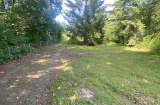 Grundstück zu kaufen in 21509 Glinde, Schönes Baugrundstück in 21509 Glinde in zweiter Reihe mit Altbestand