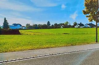 Grundstück zu kaufen in 89335 Ichenhausen, Großzügiges 5.200 m² Baugrundstück in Ichenhausen – ideales Investment für Projektentwickler