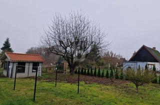 Grundstück zu kaufen in 23942 Dassow, WAS FÜR EINE WEITE!