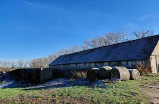 Grundstück zu kaufen in 06242 Braunsbedra, Grundstück zu verkaufen!