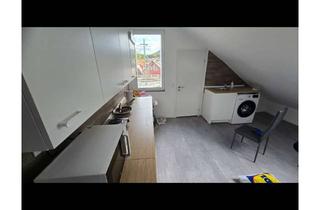 Immobilie mieten in 69434 Hirschhorn, 5 Zimmer Wohnung mit neue Einbauküche für Studenten und Azubis