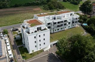 Lager mieten in Würzburger Str. 196, 63743 Aschaffenburg, Modernes Großraumbüro, Showroom- oder Lagerfläche zu vermieten