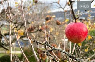 Gewerbeimmobilie kaufen in 71229 Leonberg, Ihre Wochenendidylle zwischen Gerlingen und Leonberg