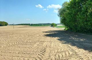 Gewerbeimmobilie kaufen in Am Brunnenfeld, 86565 Gachenbach, Gewerbegebiet direkt an der B300