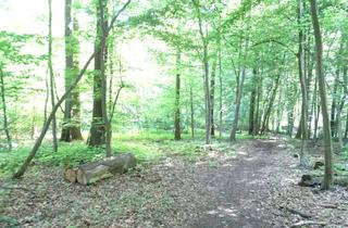 Gewerbeimmobilie mieten in 38108 Schuntersiedlung, Waldgrundstück stadtnah zur Nutzung u. Teilbebauung