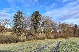 Gewerbeimmobilie kaufen in 82229 Drößling, VERKAUF: Waldstreifen zwischen Drößling und Unering