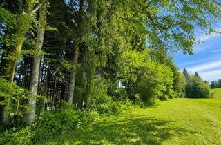 Gewerbeimmobilie kaufen in 82229 Drößling, VERKAUF: Waldstreifen zwischen Drößling und Unering