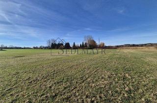 Gewerbeimmobilie kaufen in 82211 Herrsching, VERKAUF: Wertstabiles Grünland nahe Herrsching!