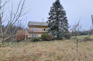 Haus kaufen in 95236 Stammbach, Ganz viel Platz und unverbaubare Fernsicht Nähe Stammbach