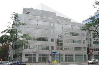 Gewerbeimmobilie mieten in Grüneburgweg, 60322 Frankfurt, - KLE!N - Provisionsfrei - Bürofläche im beliebten Grüneburgweg