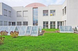 Gewerbeimmobilie mieten in 65843 Sulzbach, KLE!N - Provisionsfrei - Bürofläche in gepflegtem und funktionalem Gewerbepark