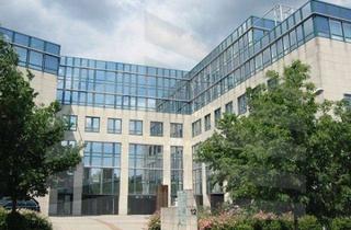 Gewerbeimmobilie mieten in 63263 Neu-Isenburg, KLE!N - Provisionsfrei - Lukrative Bürofläche in Neu-Isenburg