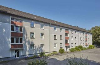 Wohnung mieten in Hirschgraben, 44892 Langendreer, 3-Zimmer Wohnung in Langendreer