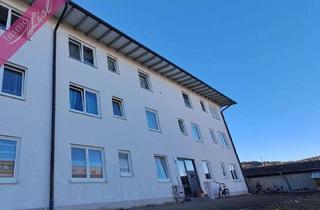 Wohnung mieten in 87600 Oberbeuren, "Zilly" - Stadtgeförderte 4-Zimmer-Wohnung sucht eine neue Familie!